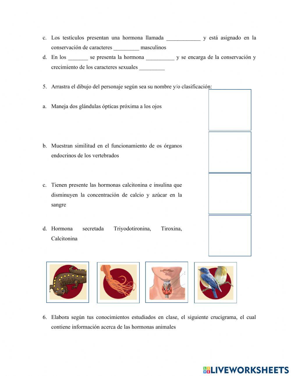 Glandulas y hormonas