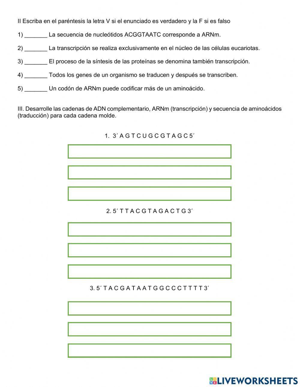 Síntesis de proteínas Síntesis de proteínas