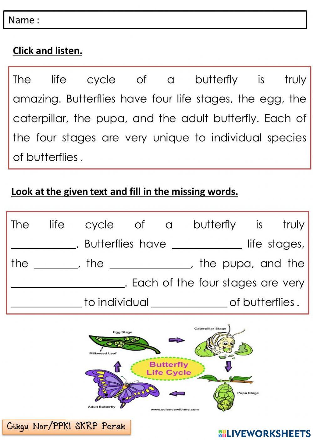 English KSSRPK YEAR 6 - Insect