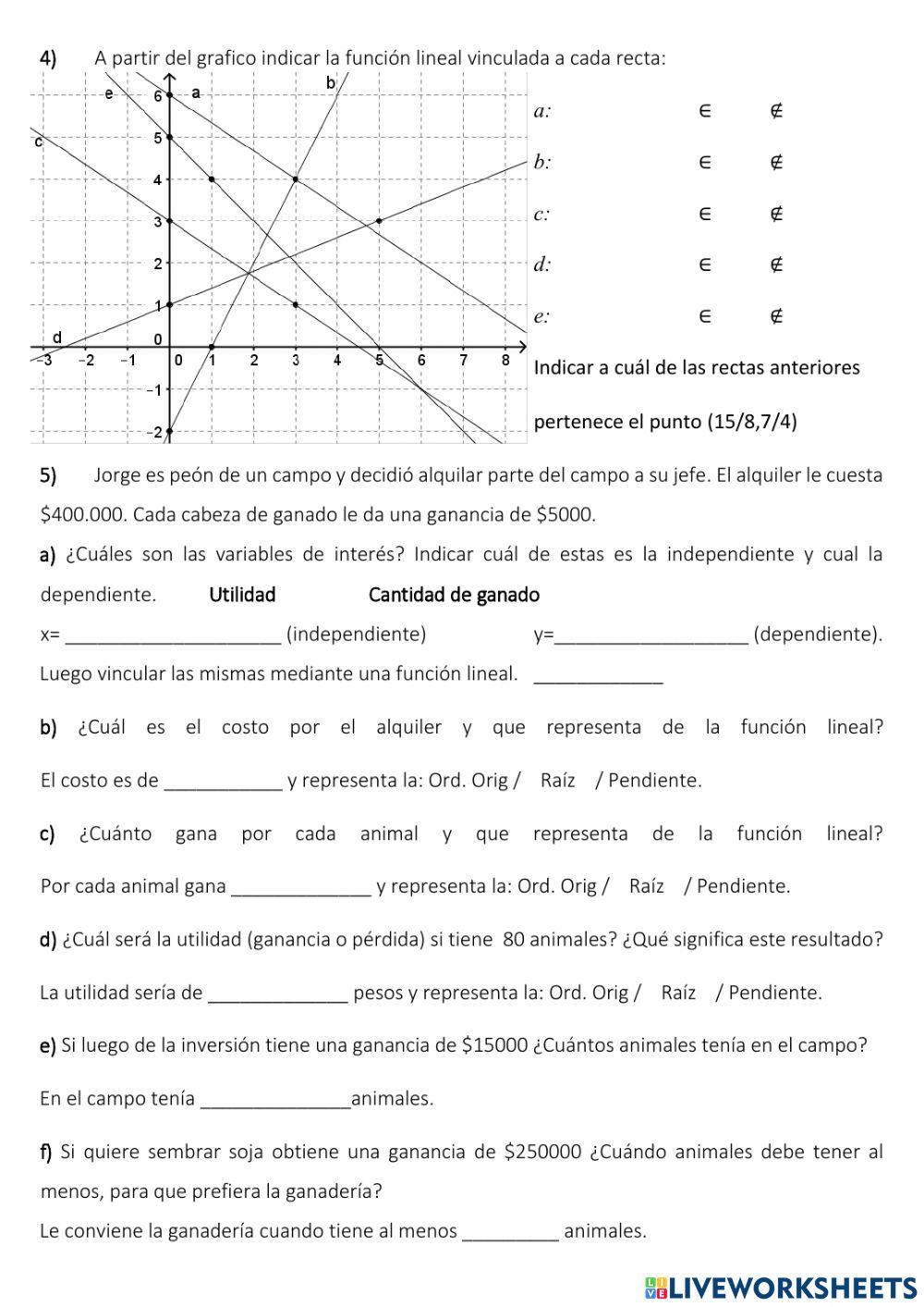 Prueba Piloto de Función Lineal 2
