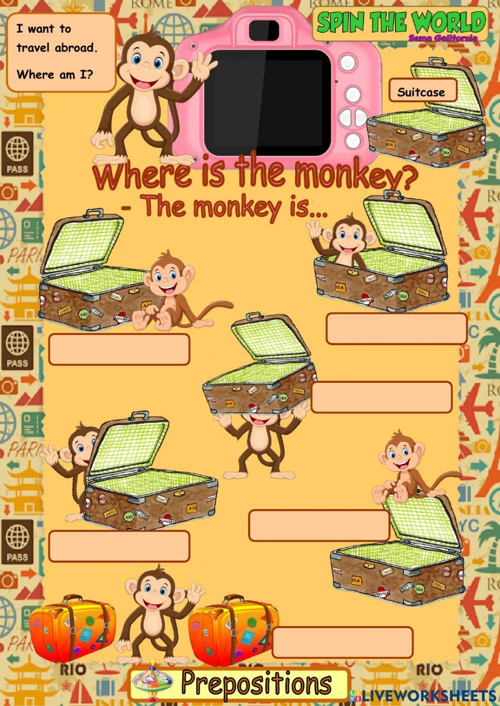 Where is the monkey?