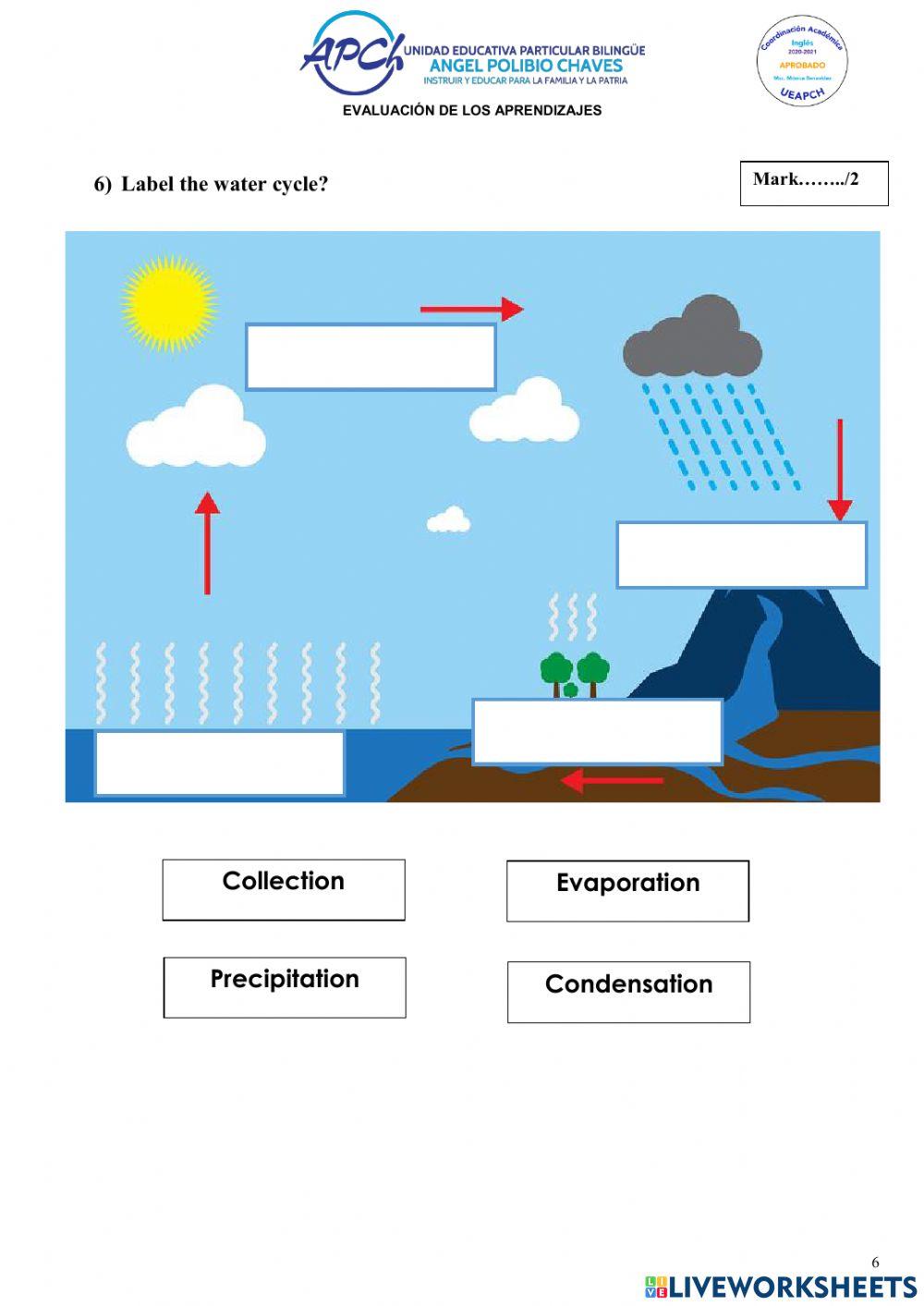 NEE Q2 3 EGB Science Exam