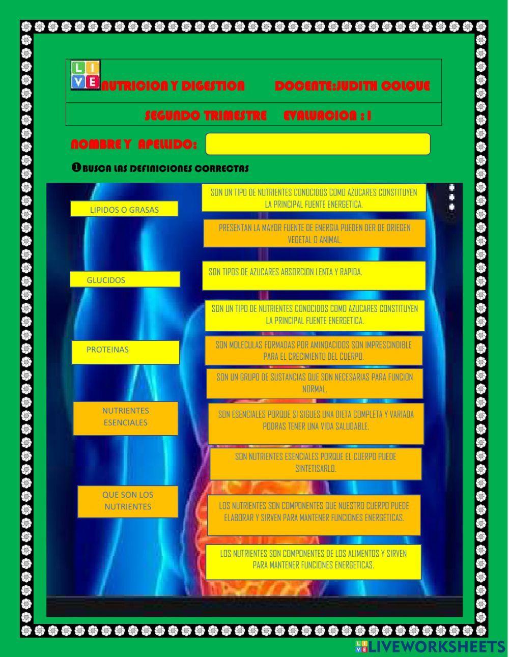 Nutricion y digestion