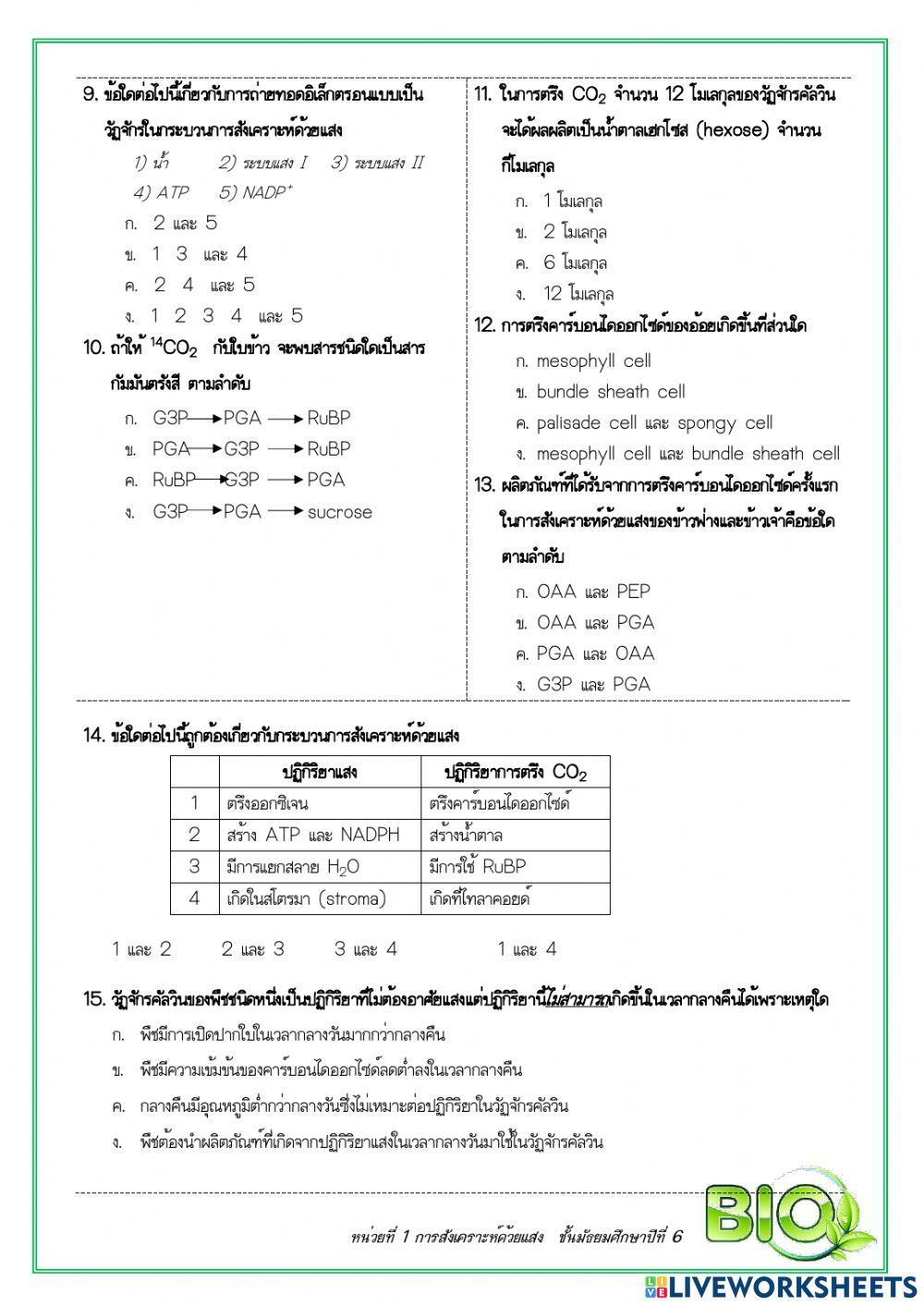 แบบตรวจสอบเรื่องการสังเคราะห์ด้วยแสง