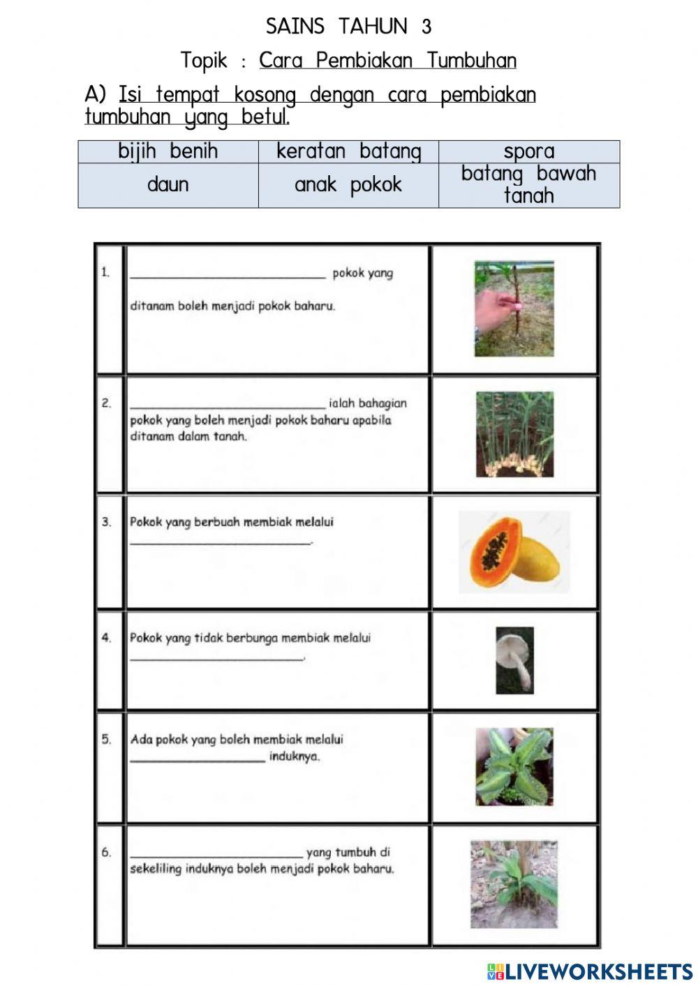 Cara pembiakan tumbuhan
