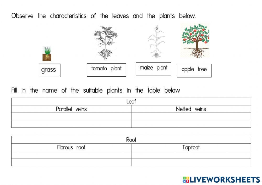 Different and similar parts of the following plants
