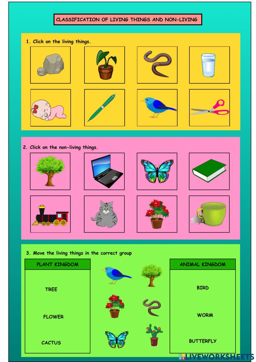 Living things and non-living things