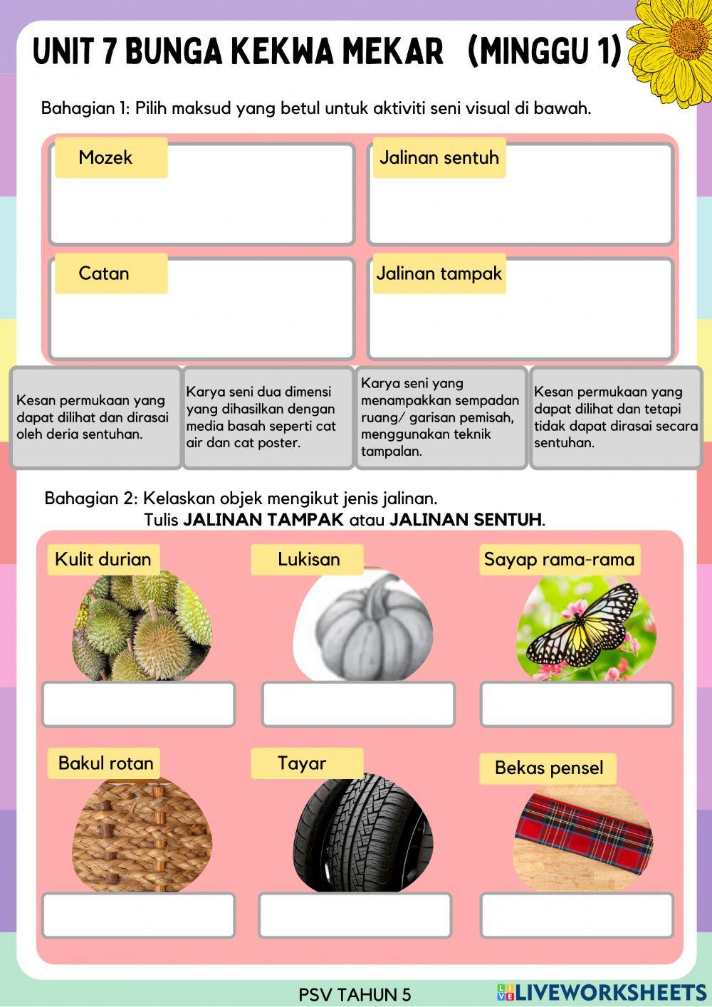 Bunga Kekwa Mekar Minggu 1