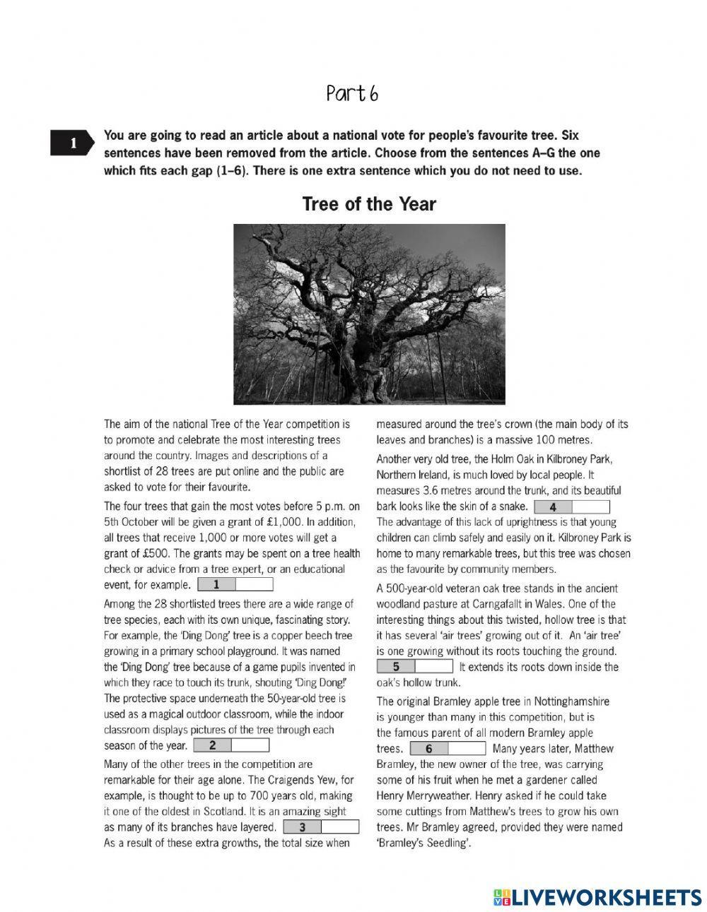 FCE Exam Reading - Use of English