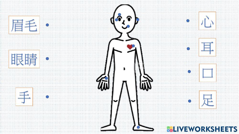 字的故事1總複習 chinese characters 1 review