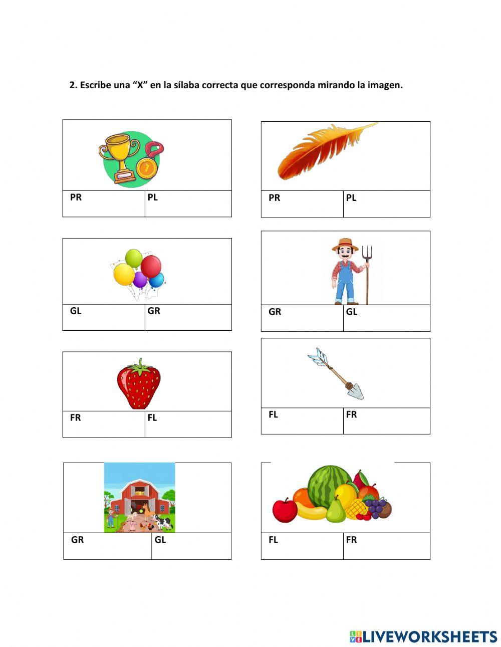 Prueba Primero Básicos