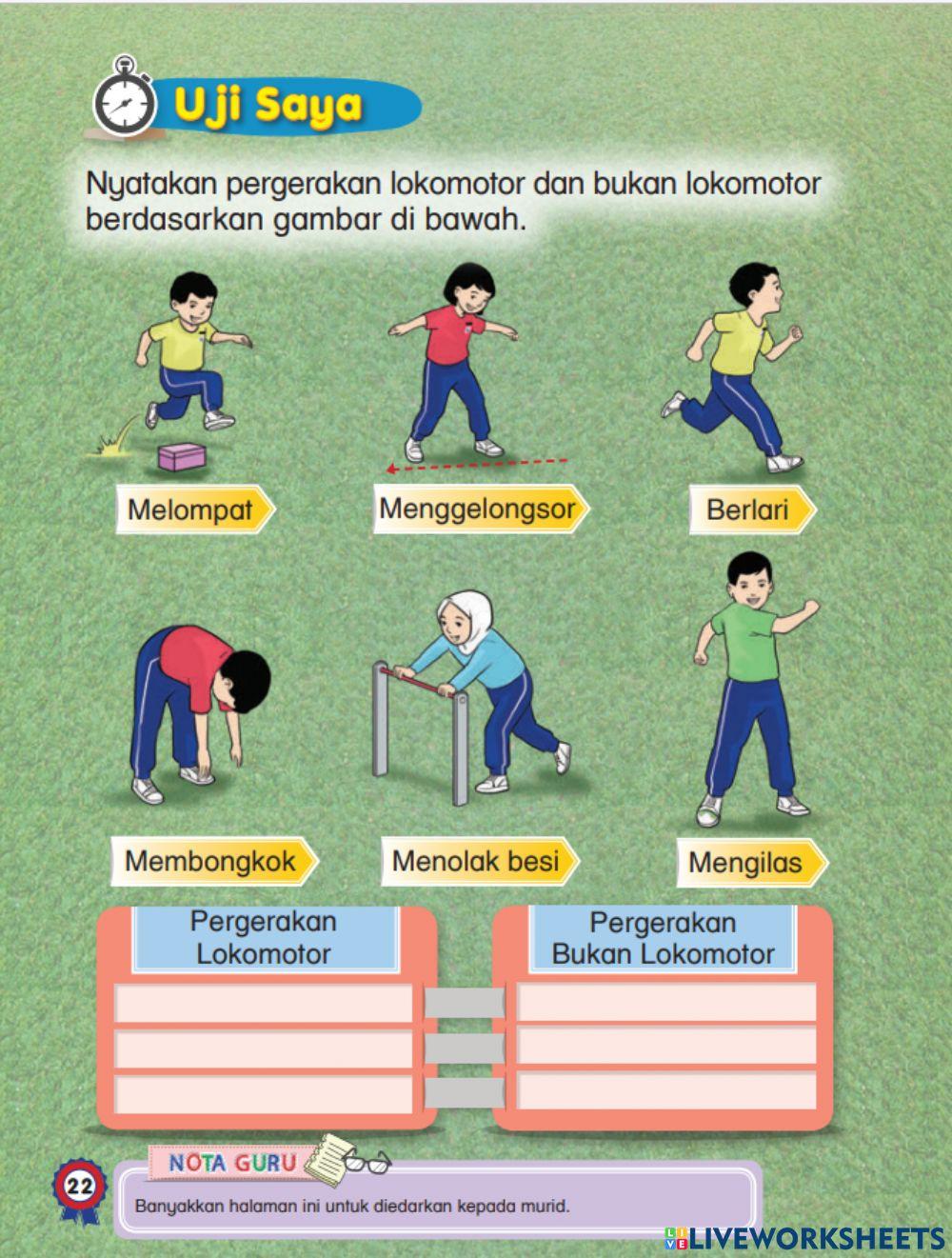 pergerakan lokomotor dan bukan lokomotor