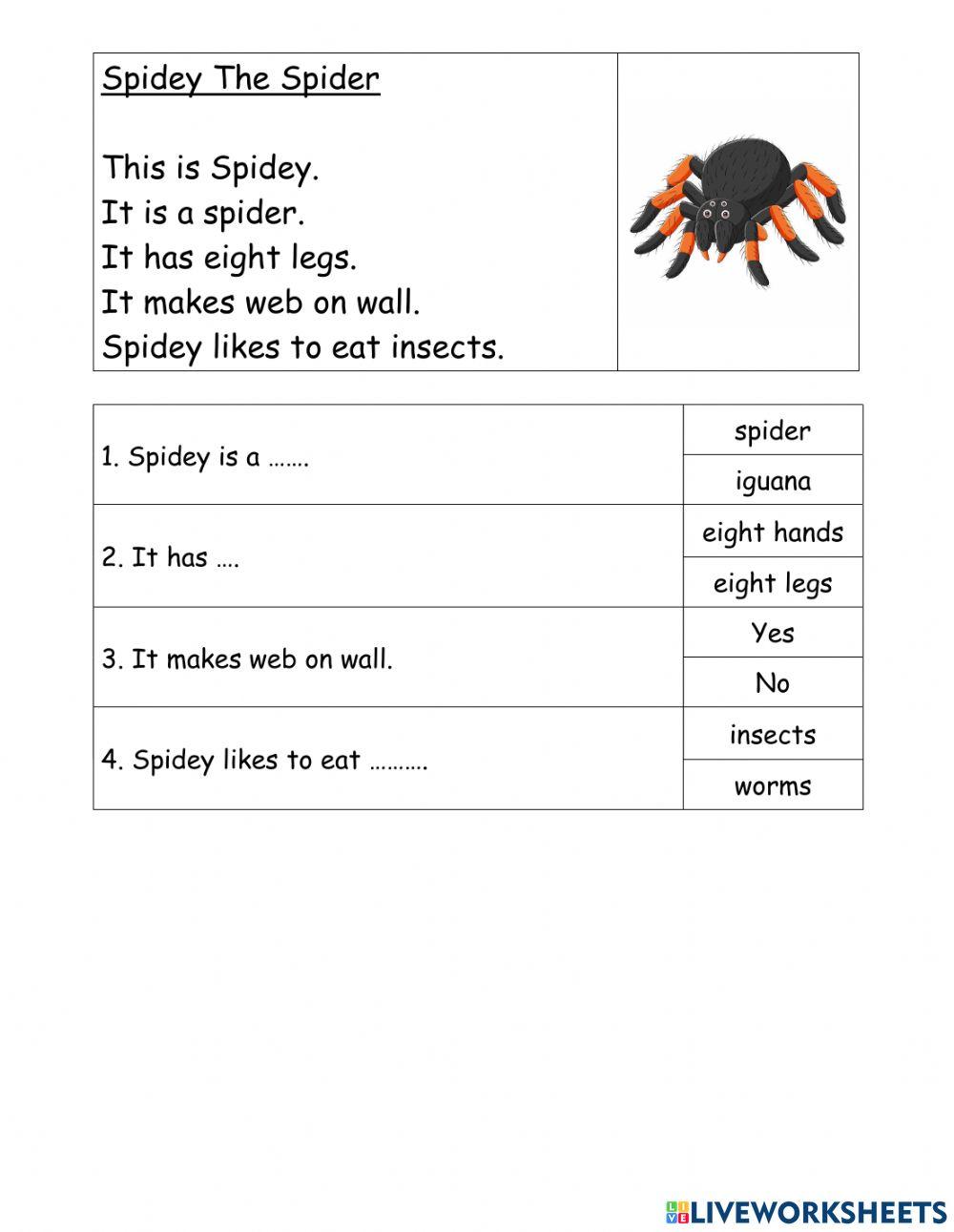 Reading Comprehension My Pet