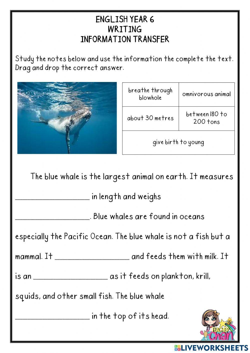english-year-6-1129462-chanagun81-live-worksheets