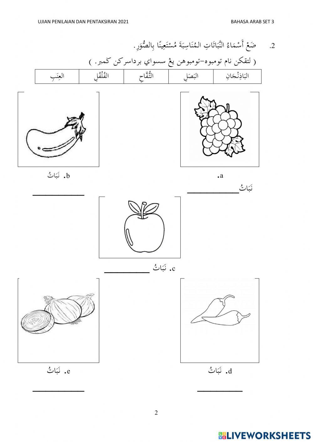 Bahasa Arab Tahun 4 Set 3