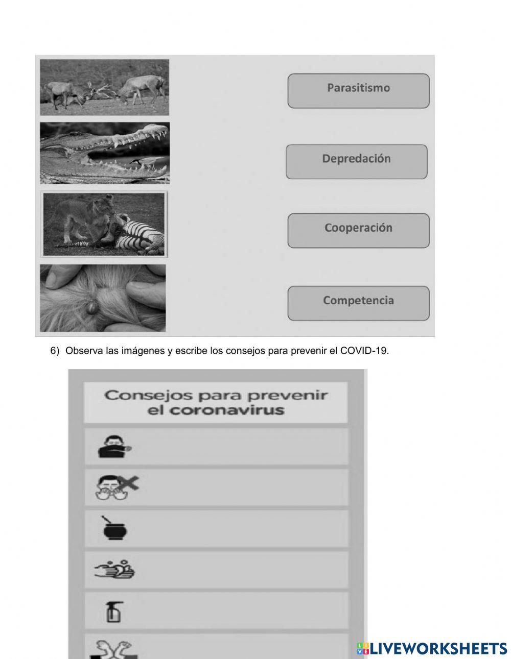 Evaluacion sexto grado