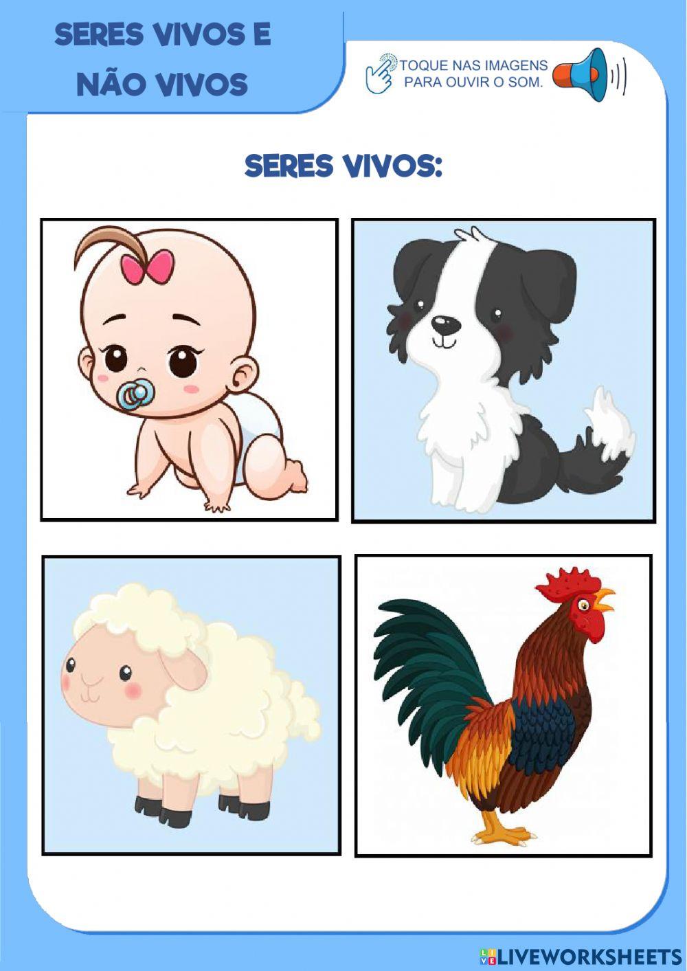 Seres vivos e não vivos 1