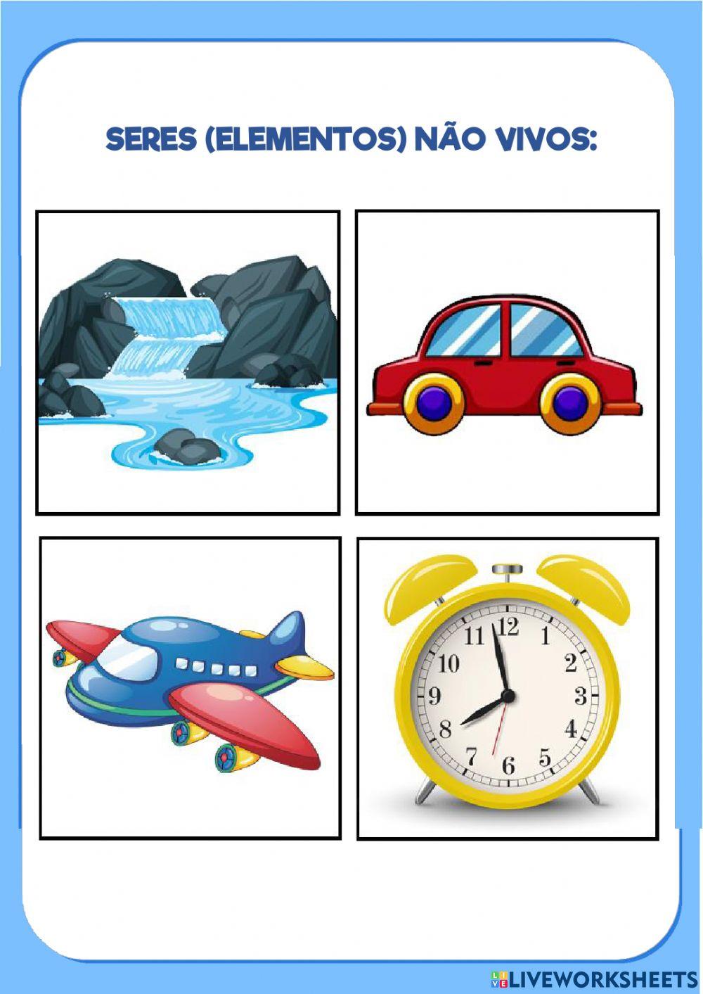 Seres vivos e não vivos 1