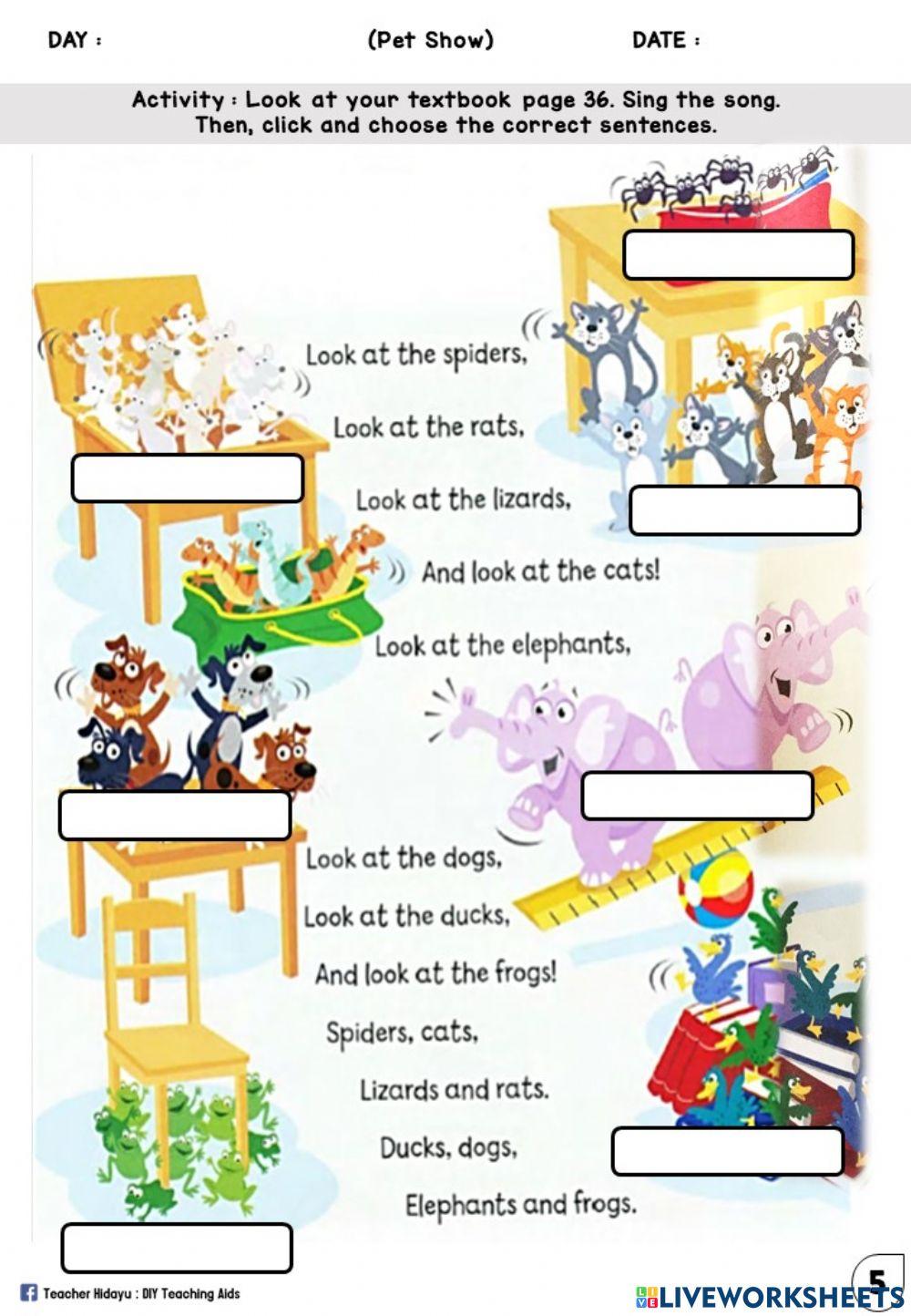 Pet Show (Drop Down)