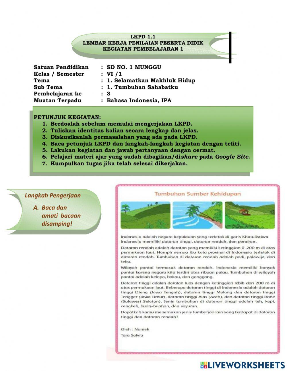 Perkembangbiakan Vegetatif Buatan