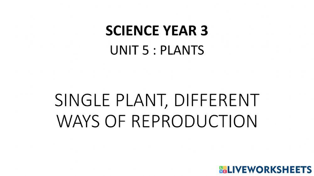SCIENCE YEAR 3 ( SINGLE PLANT, DIFFERENT WAYS OF REPRODUCTION)
