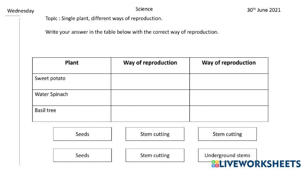SCIENCE YEAR 3 ( SINGLE PLANT, DIFFERENT WAYS OF REPRODUCTION)