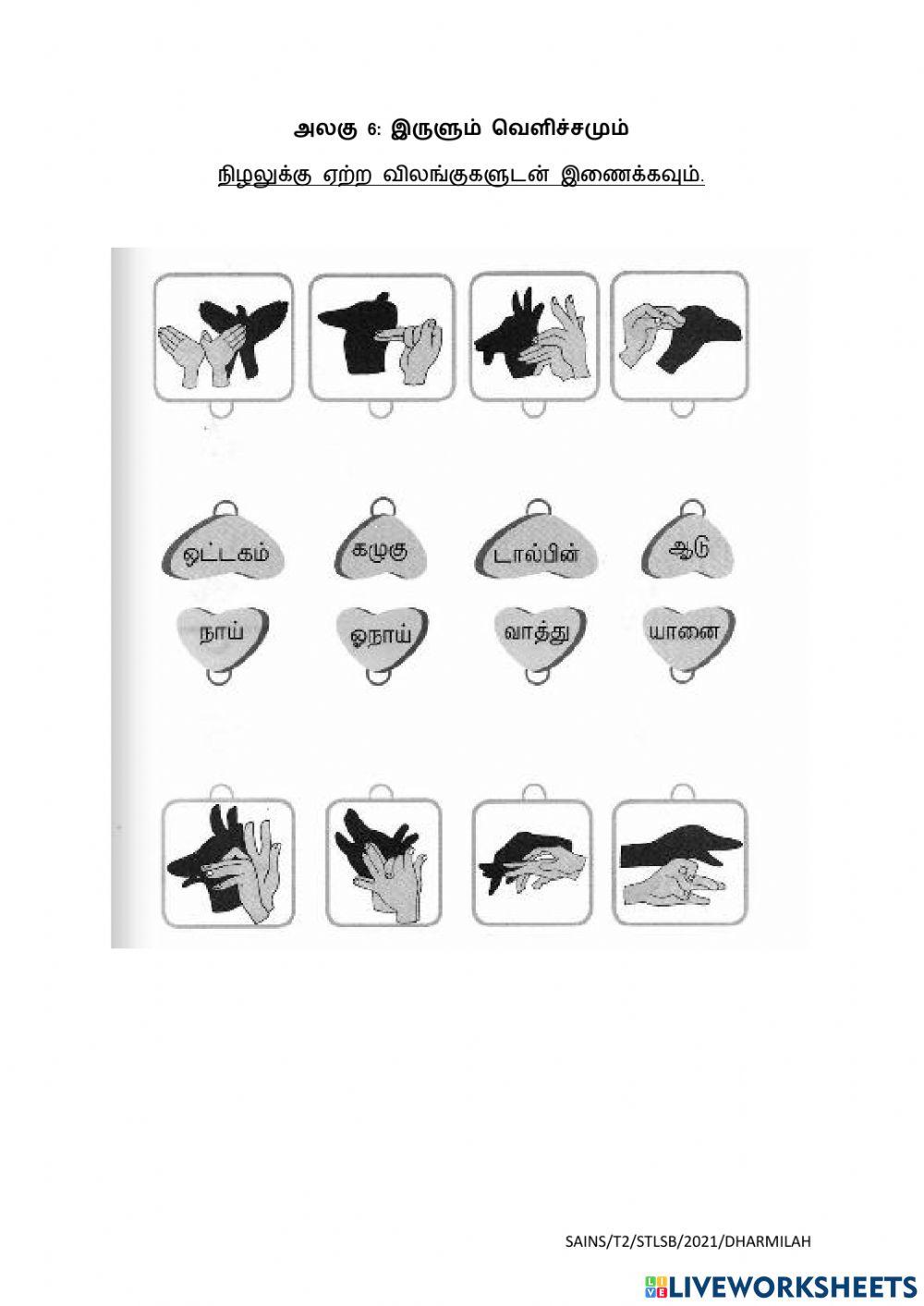 இருளும் வெளிச்சமும்-ஒளி மூலங்கள் & நிழல்