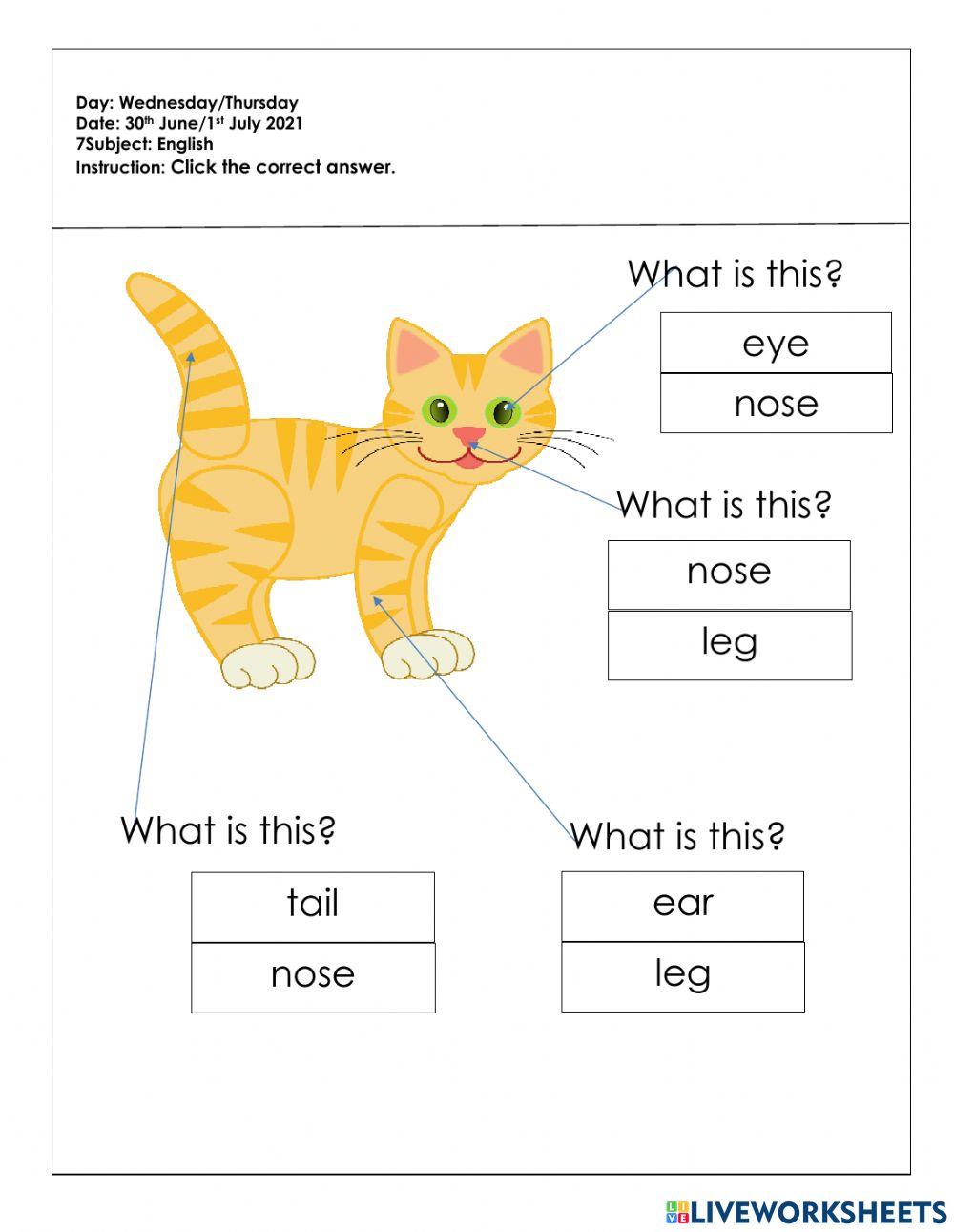 Tugasan pkp 3.0 BI(5tahun)