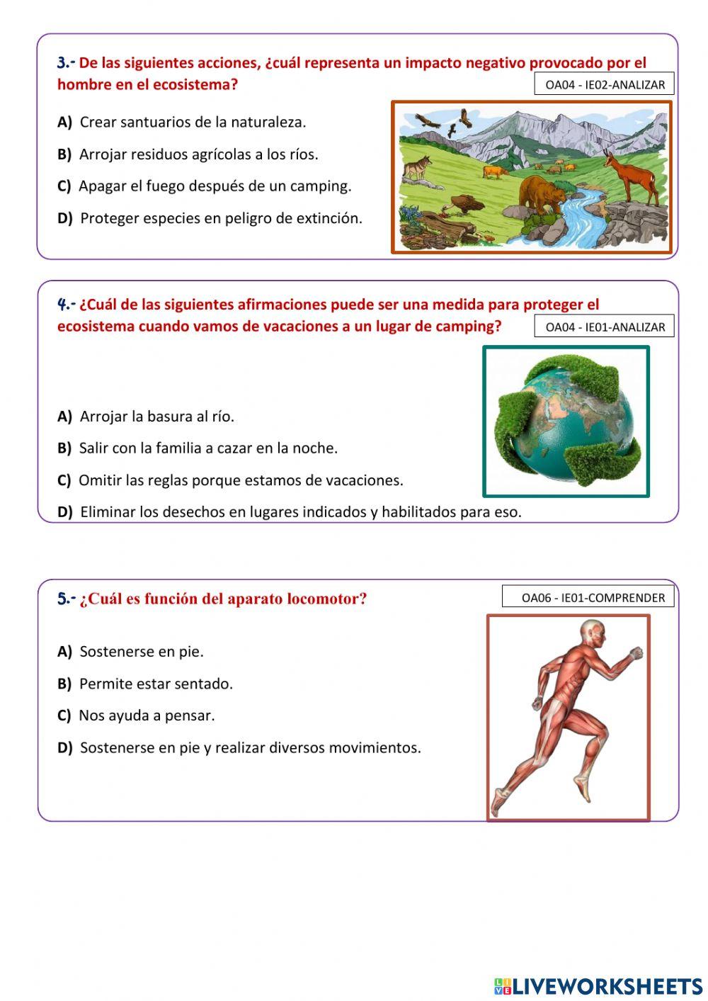 Evaluación Ciencias Naturales