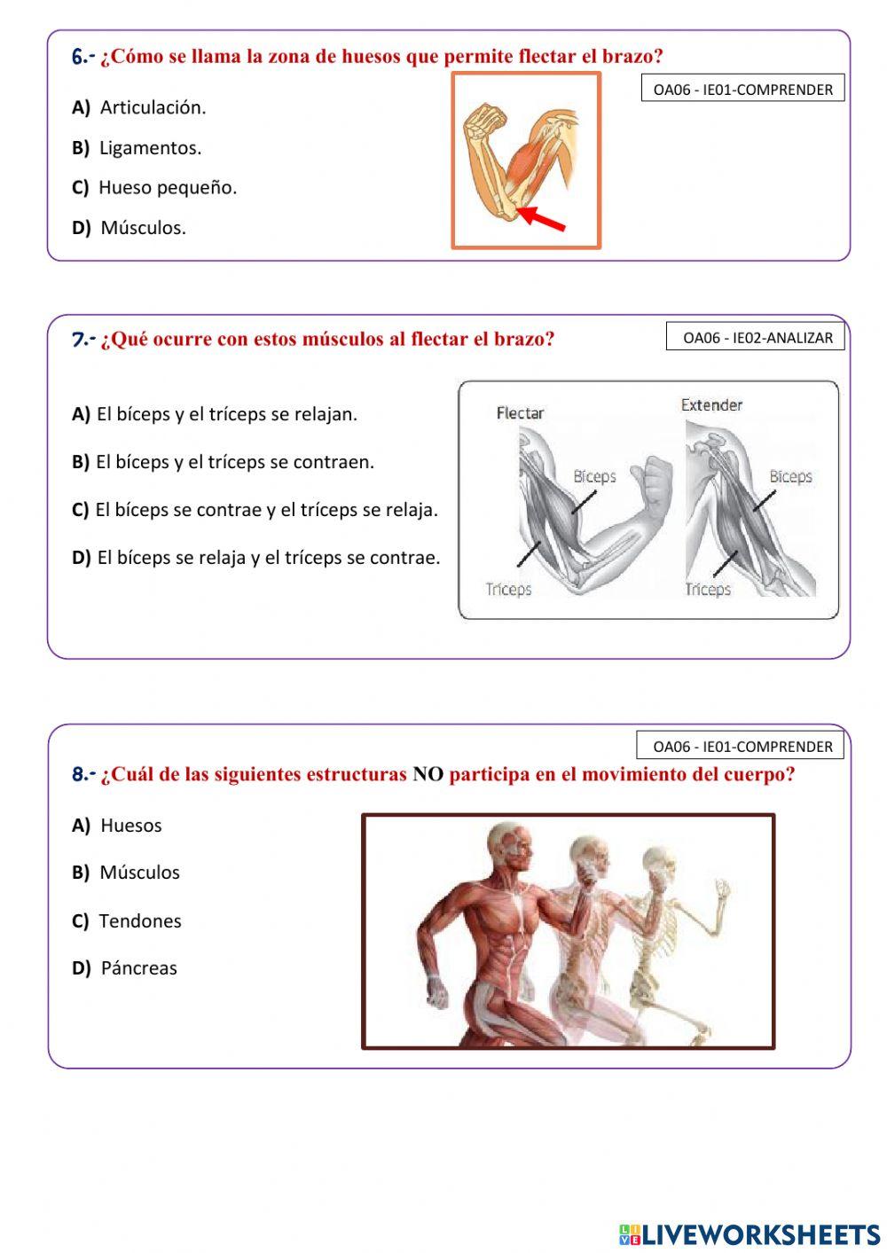 Evaluación Ciencias Naturales