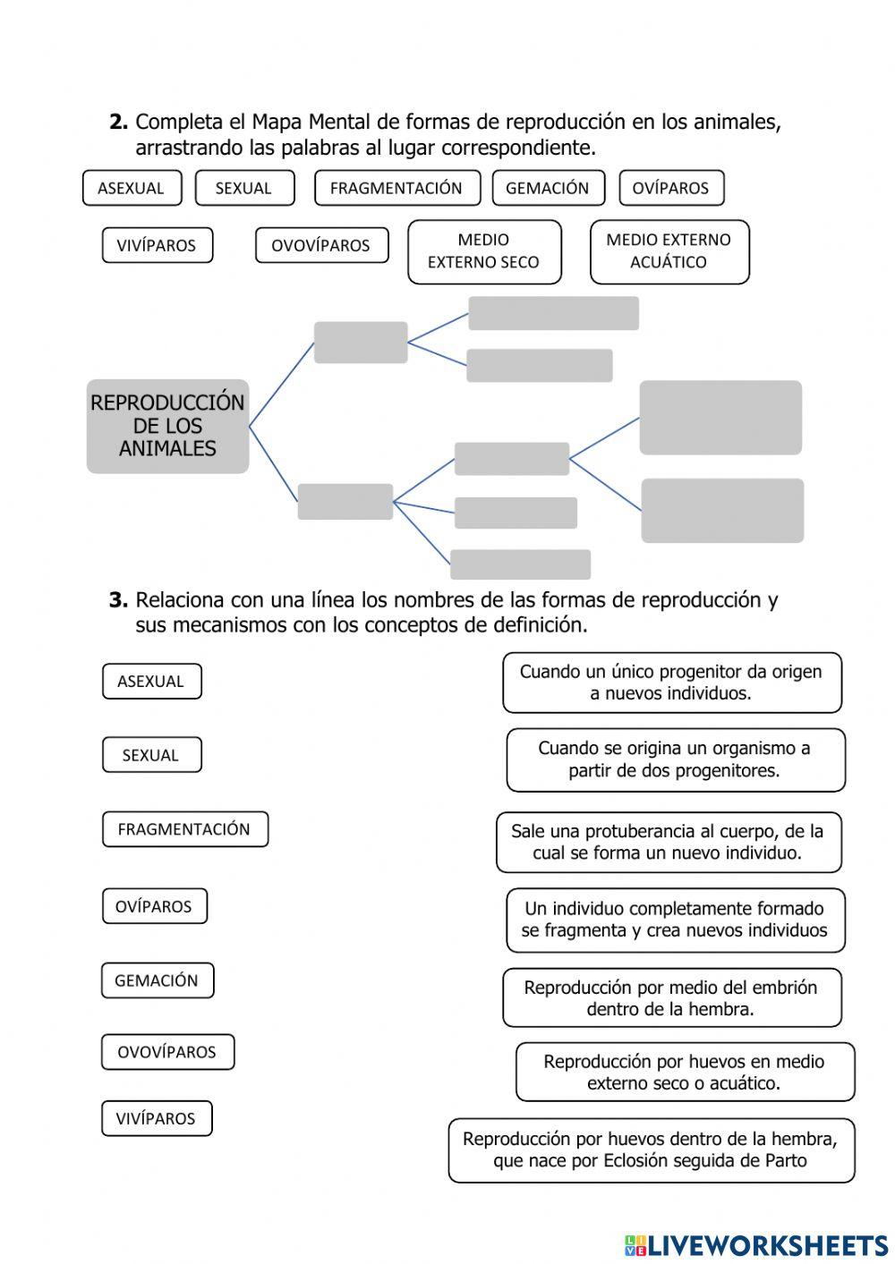 QIZ 1 CIENCIAS NATURALES ANIMALES INVERTEBRADOS, VERTEBRADOS Y SU REPRODUCCIÓN