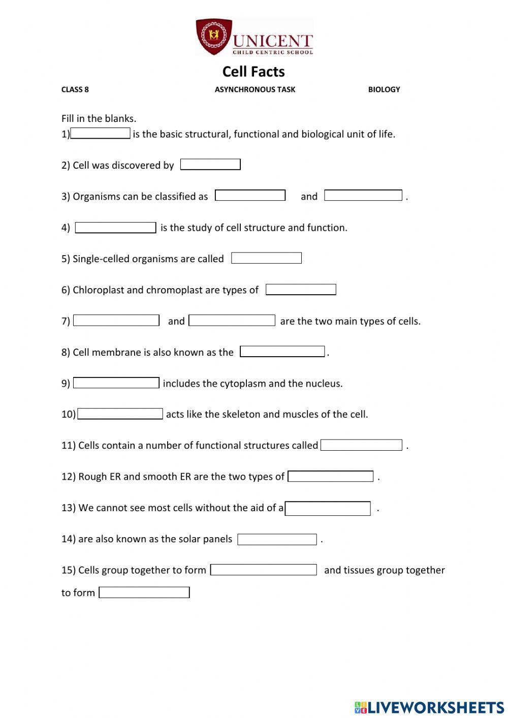 Cell structure and functions