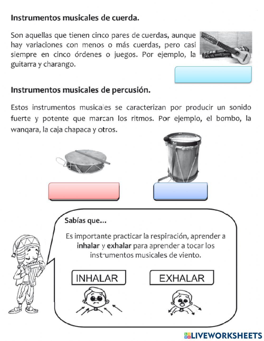 Instrumentos musicales y su expresión en relación con los ciclos de producción