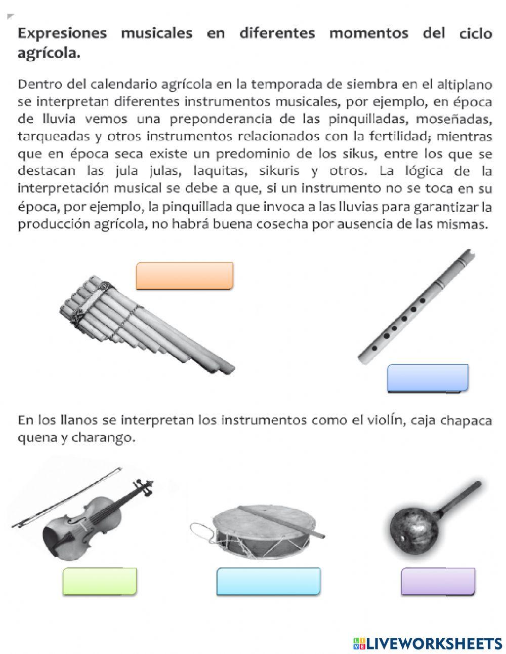 Instrumentos musicales y su expresión en relación con los ciclos de producción