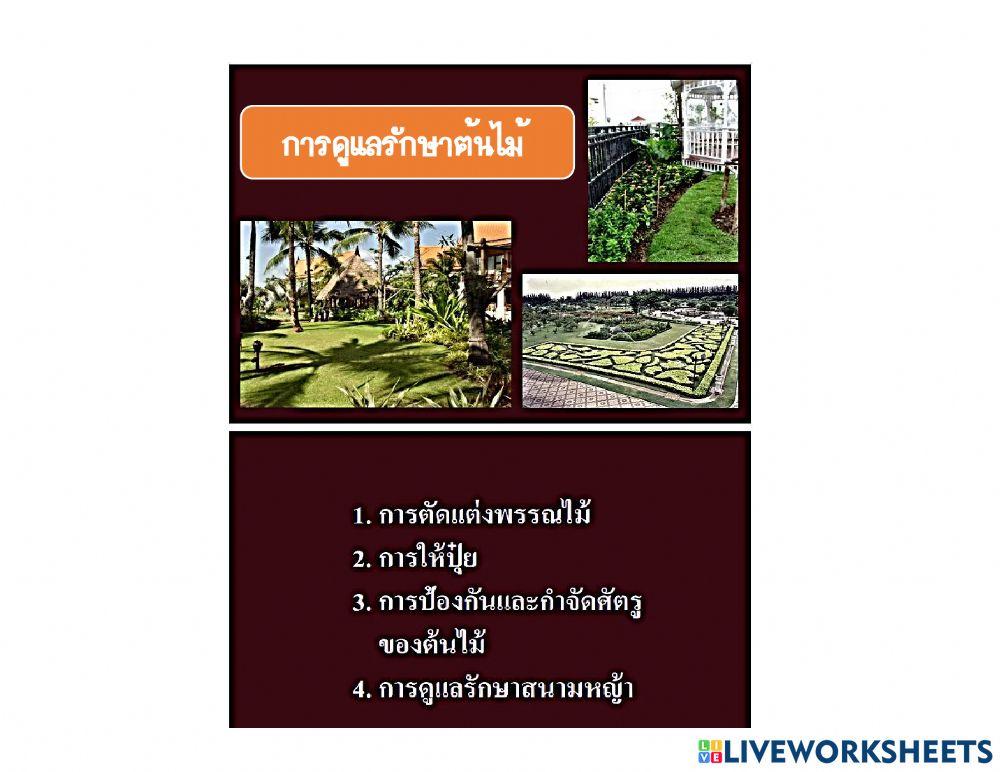 ใบความรู้ 2.2 (วิชาการจัดและดูแลสวน ม.5-3)