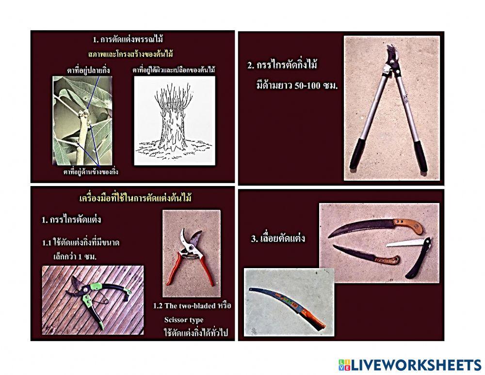 ใบความรู้ 2.2 (วิชาการจัดและดูแลสวน ม.5-3)