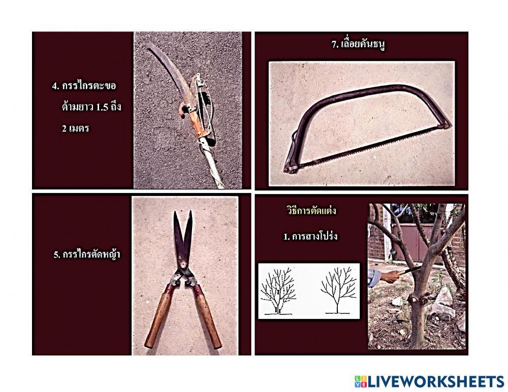 ใบความรู้ 2.2 (วิชาการจัดและดูแลสวน ม.5-3)