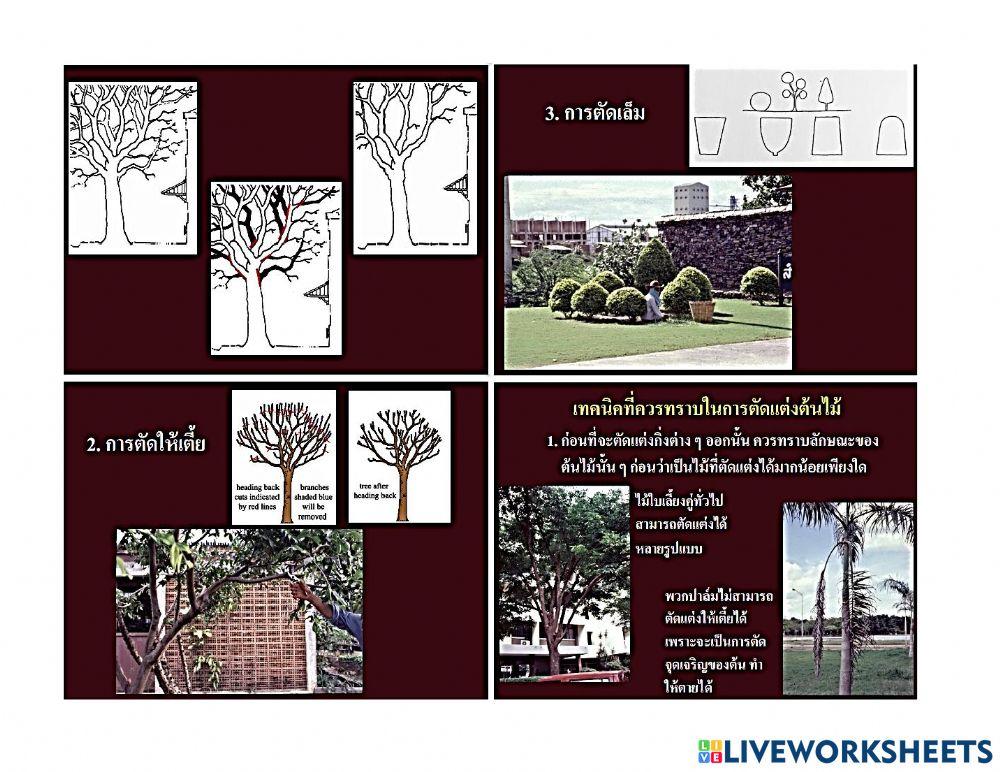 ใบความรู้ 2.2 (วิชาการจัดและดูแลสวน ม.5-3)