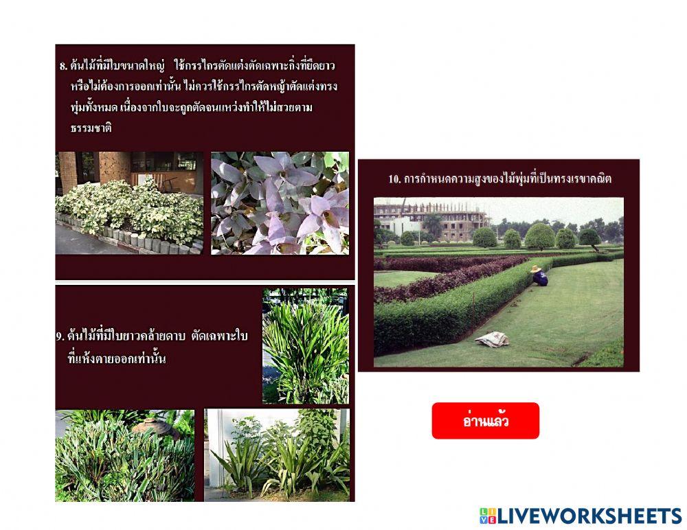 ใบความรู้ 2.2 (วิชาการจัดและดูแลสวน ม.5-3)