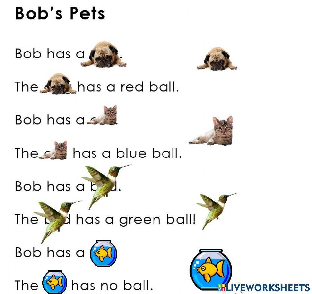 Types of pets