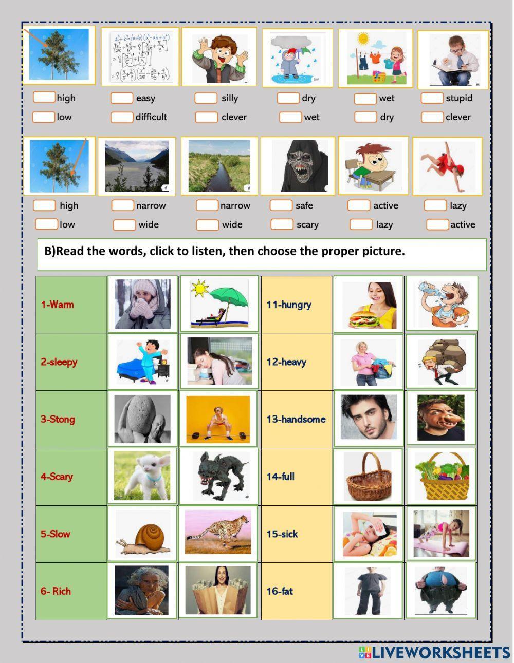 Exercise about adjectives