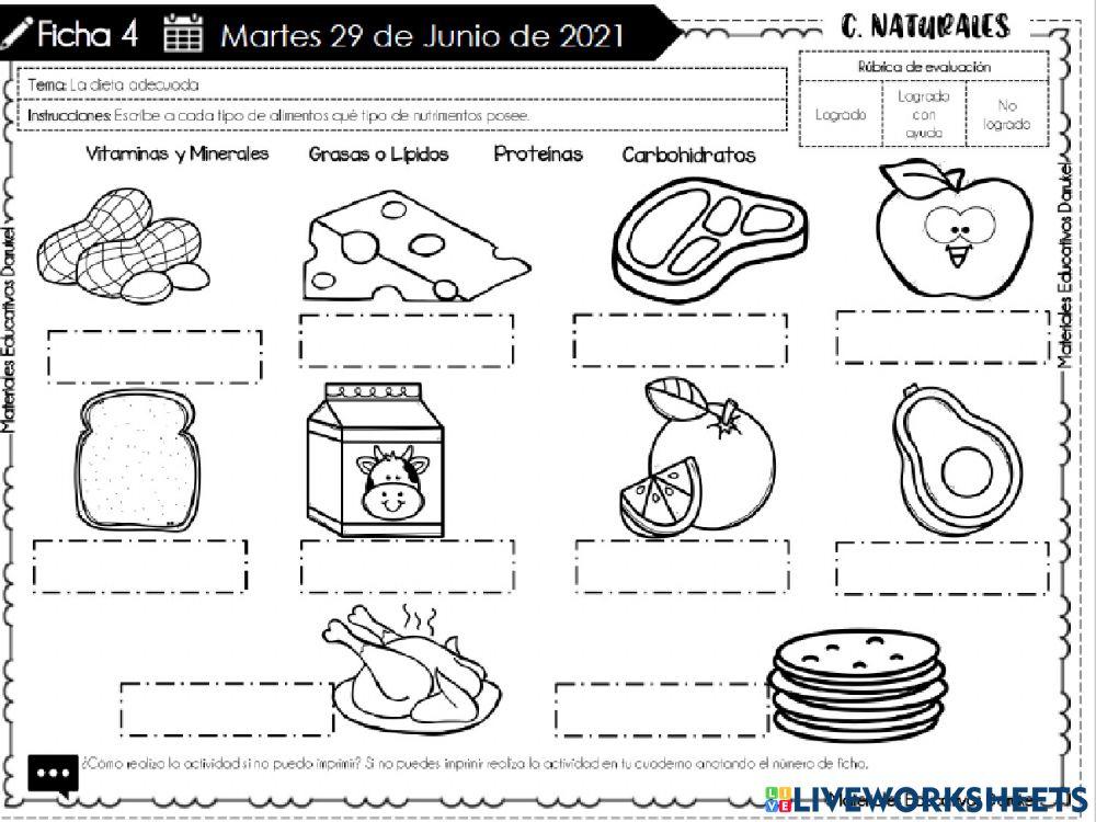 Tipos de alimentos