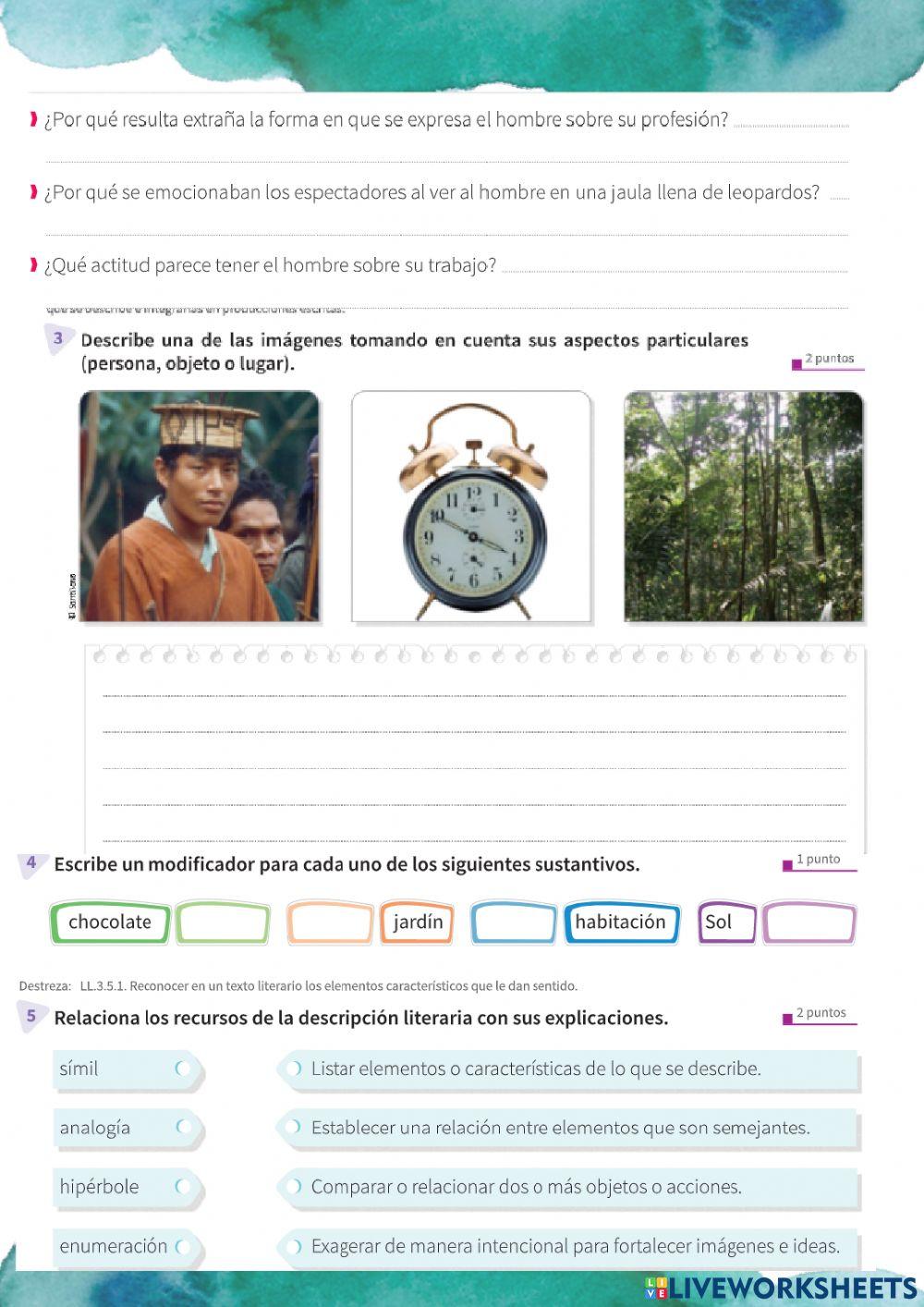 Evaluación sumativa