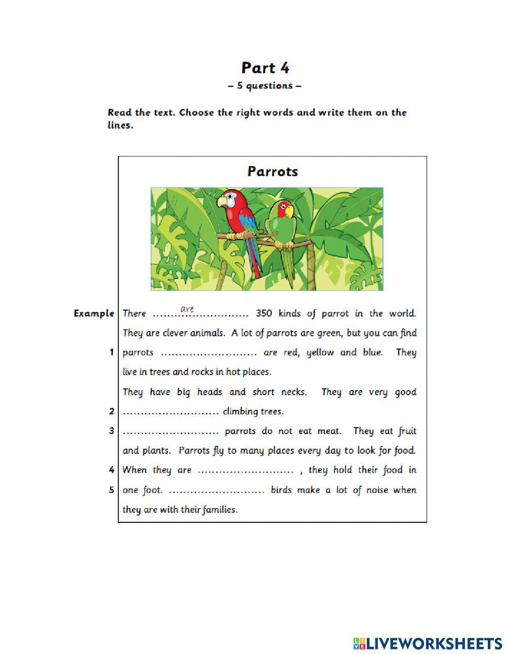 Movers Reading - Writing Part 1