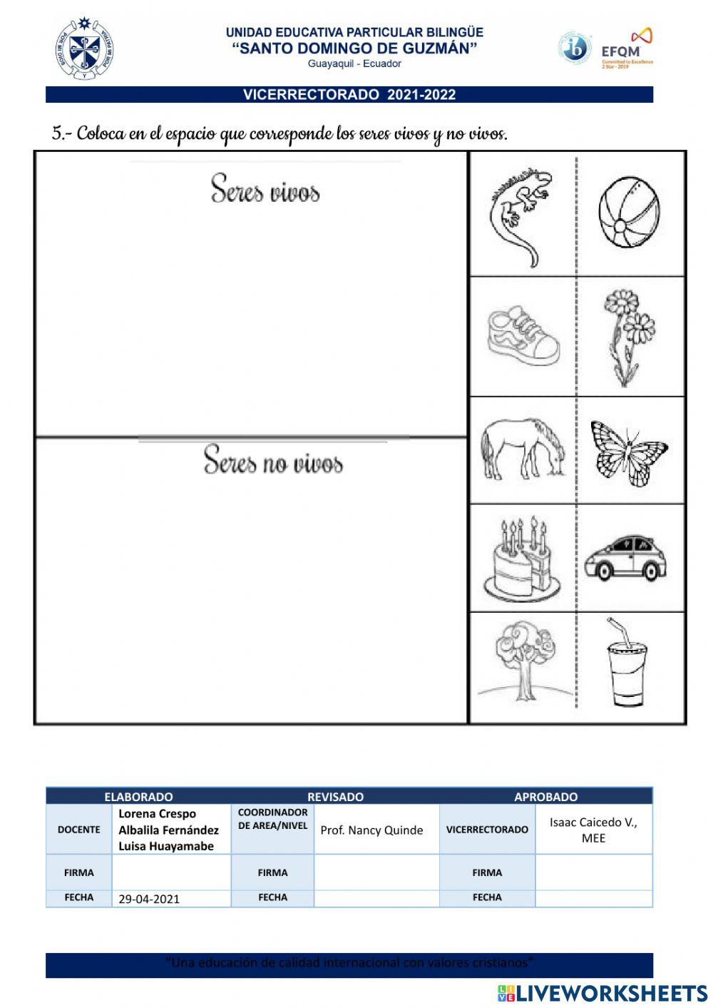 Prueba de diagnostico CCNN