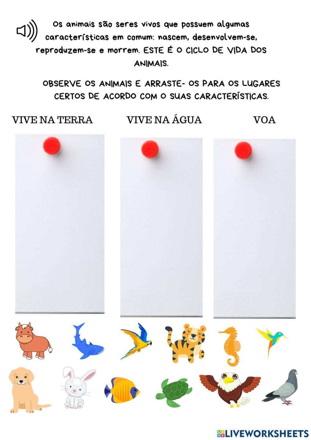 OS ANIMAIS- CARACTERÍSTICAS