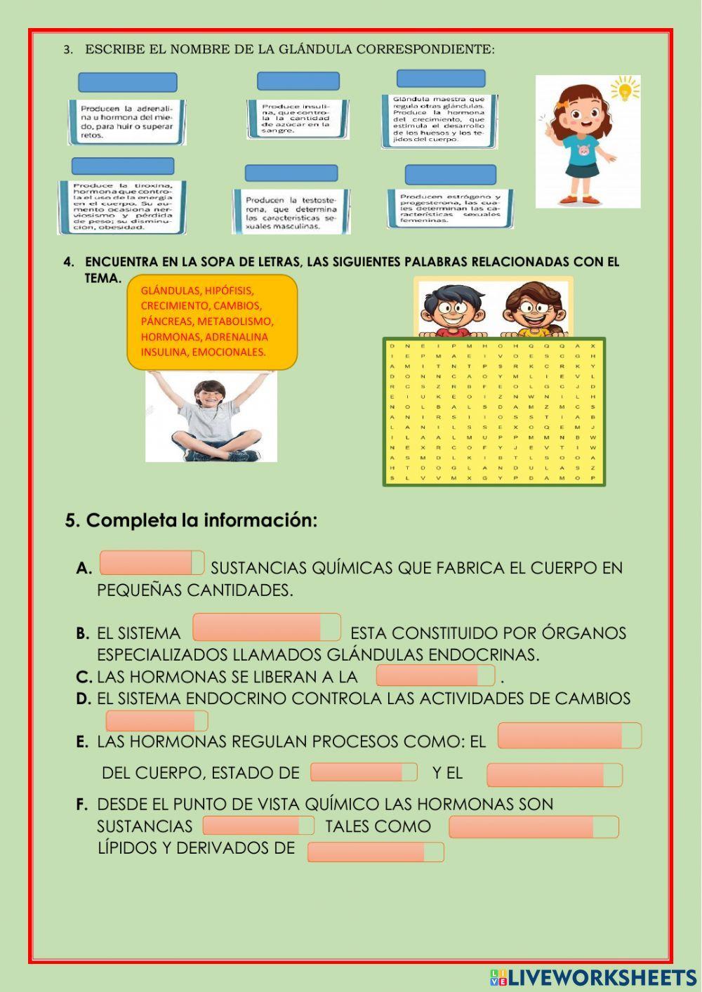El sistema endocrino