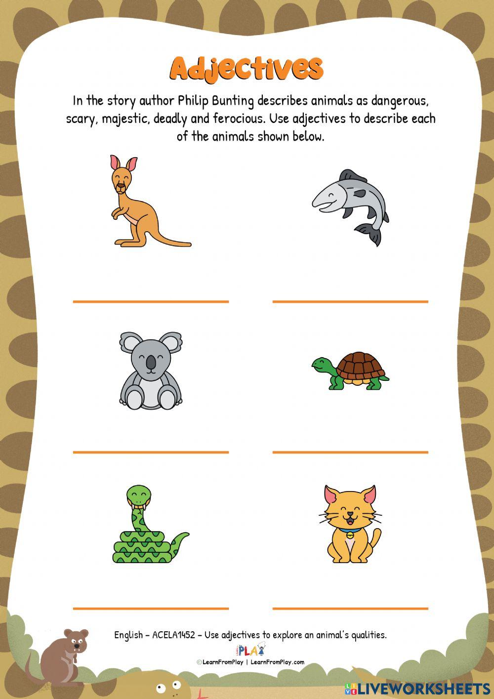 Not Cute - Adjectives