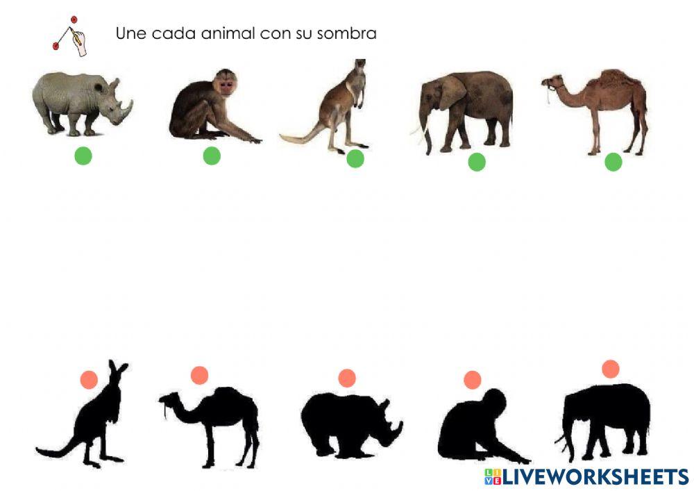 Animales y sus características