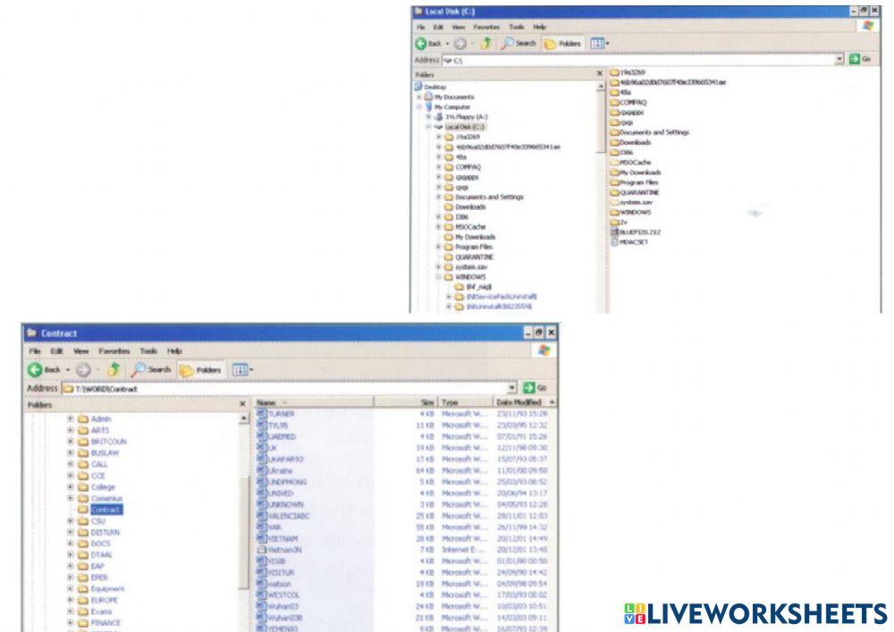 2) Computing support officer
